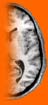 Right brain graphic