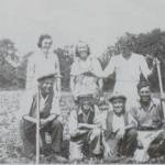 Village housewives worked on the land alongside the men - this group was snapped while hoeing a field of beans Village housewives worked on the land alongside the men - this group was snapped while hoeing a field of beans