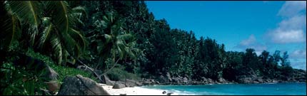 anse_intendance_beach430.jpg