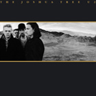 The Joshua Tree