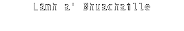 Làmh a' Bhuachaille