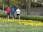 Caledonian Challenge team 'Cry me a Spartan' training in a Dundee park