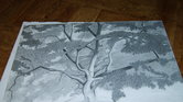 Japanese Maple... Japanese Maple...