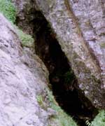 German mine