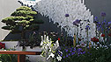 The Waterless Water Garden