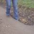 Foot in Hole