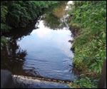 The Ver iat Sopwell