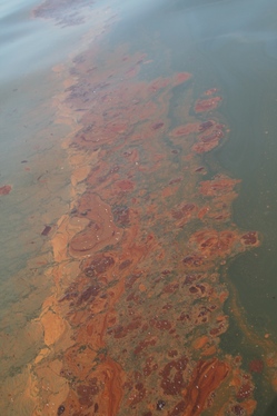 oil.jpg
