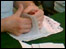 Vote counting in Tewkesbury