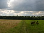 Farm