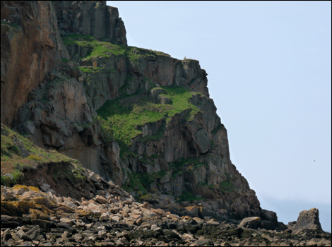 Ouaisne cliff