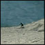 Surfistas no Alasca