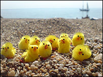 10ducks5_203.jpg