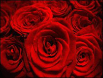 Rosas