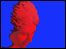 Computer variation