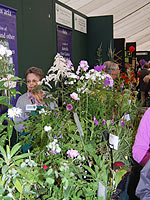 plant_societies_marquee.jpg