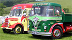Vintage buses