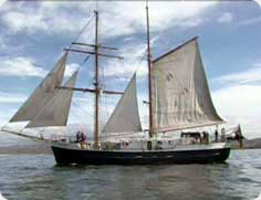 Sail boat