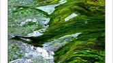 The river Dove...