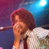 Guillemots