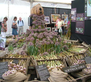 hampton_garlic.jpg
