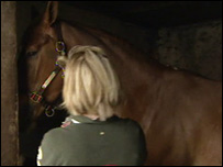 woman and horse