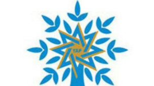 YAP logo