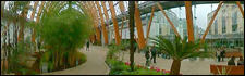Winter Garden, Sheffield