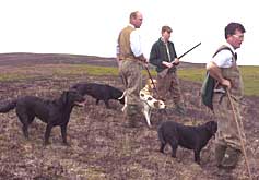 grouse shoot