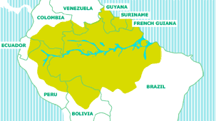 Map of the Amazon by country