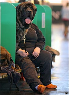cruftsdogandowner_ap.jpg