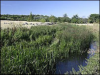 River Colne