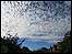 Clouds in the sky