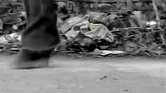 Tiny Dancer