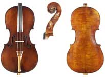 Violin