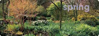 Spring garden