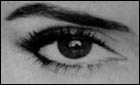 Empathising and systemising