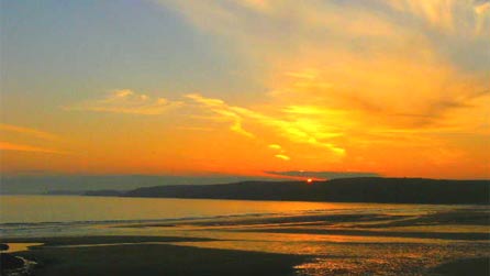 sunset_scotty.jpg