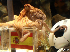 Pulpo Paul