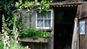 The Fenland Alchemist Garden