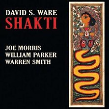 Review of Shakti