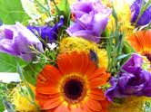 A posy of flowers