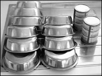 tencatdishes203.jpg