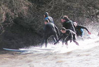 Pig Chase 2006
