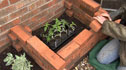 Alys Fowler building a cold frame