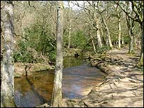 Ober Water