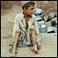 نويد علی زی