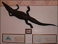 Crocodile on a wall