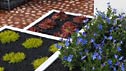 The Modern Rock Garden