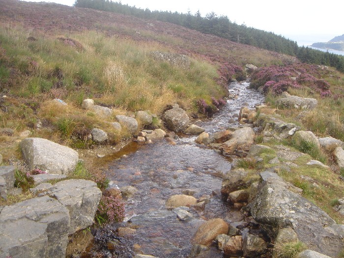 Burn on Goat Fell